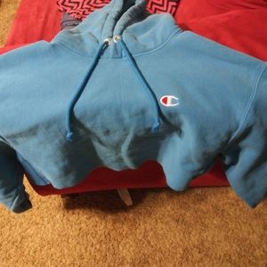 Champion cropped hoodie